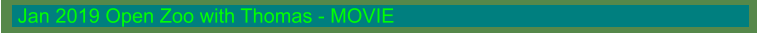 Jan 2019 Open Zoo with Thomas - MOVIE